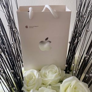 Apple 1 generation AirPods